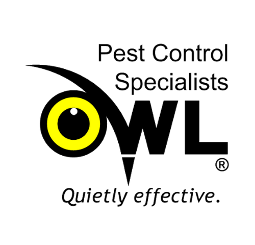 Owl Pest Control